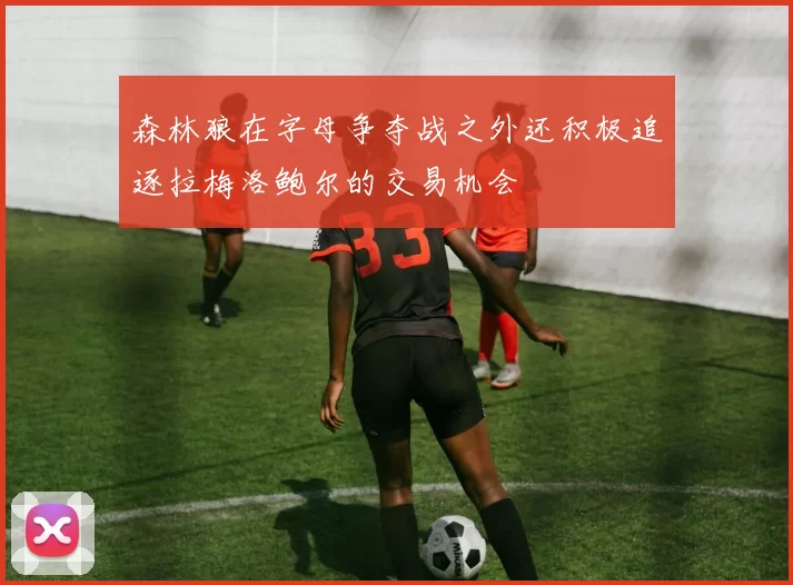 森林狼在字母争夺战之外还积极追逐拉梅洛鲍尔的交易机会